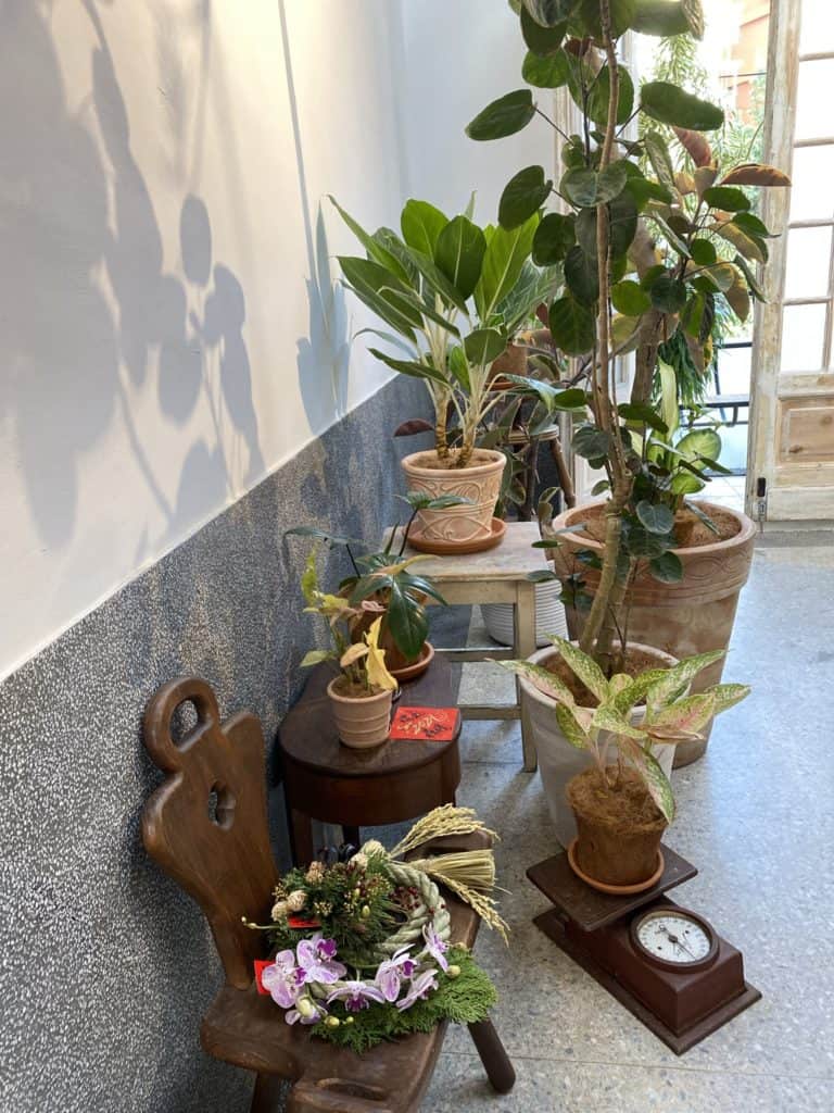 台北大安 綠咖生活概念店 身在溫室的美麗植栽咖啡館 大安區咖啡廳推薦 16