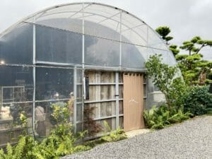 Merci 裏山-陽明山上的溫室咖啡廳!在山裡享受日式庭園的寧靜。結合溫室、植栽，感受山間氣息 83